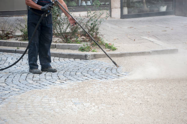 Best Spring Cleaning  in Streator, IL